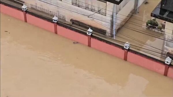 نجات یک گربه‌ غرق شده در تایلند - اسپوتنیک افغانستان  