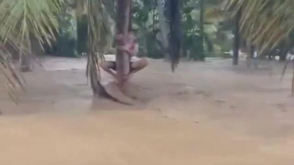 افزایش قربانیان سیل و زمین‌لغزه در اندونزیا به 248 نفر - اسپوتنیک افغانستان  