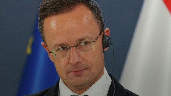 وزیر خارجه مجارستان: ما سیاست خارجی مستقل خود را دنبال می‌کنیم - اسپوتنیک افغانستان  