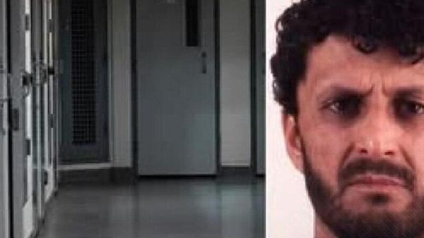 دستگیری یک شهروند افغانستان به اتهام تهدید تروریستی در امریکا - اسپوتنیک افغانستان  