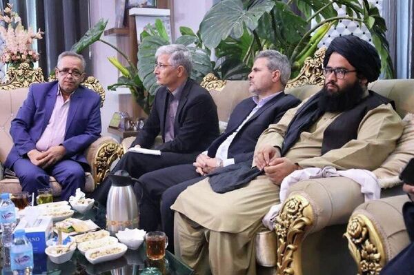 ‏یک هیأت 65 نفری از ایران وارد هرات شد - اسپوتنیک افغانستان  