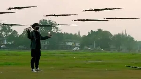 خانه کنژال‌های پرنده؛ هنرهای مرد جوان چینی - اسپوتنیک افغانستان  