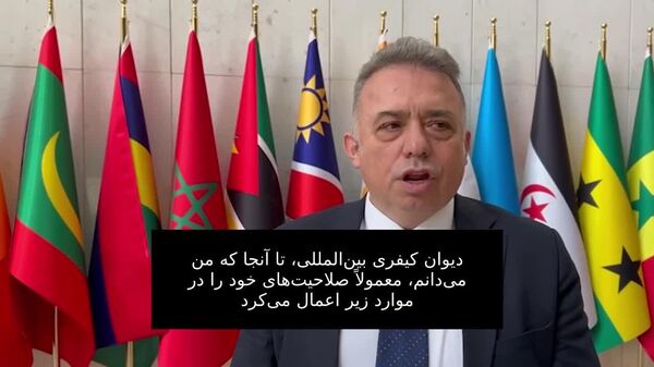 قاضی دادگاه قانون اساسی ترکیه: دادگاه کیفری بین‌المللی در دستان چند کشور نیرومند است - اسپوتنیک افغانستان  