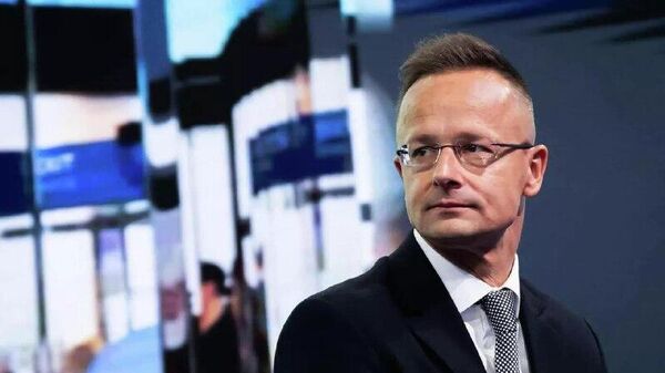 وزیر خارجه مجارستان: اعضای اروپایی ناتو به دنبال جنگ با روسیه هستند - اسپوتنیک افغانستان  