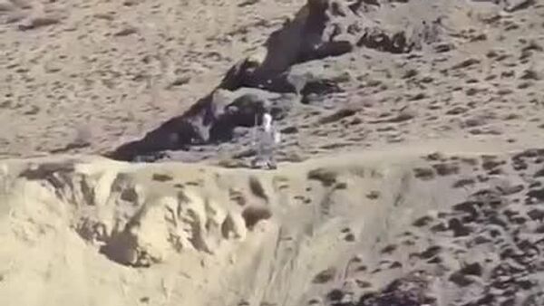 ویدئویی از ربات نظارتی چین در نزدیکی مرز هند وایرال شد - اسپوتنیک افغانستان  