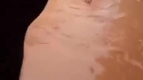 سیل سریلانکا نه تنها تلفات انسانی، بلکه تلفات حیوانی نیز برجا گذاشت - اسپوتنیک افغانستان  