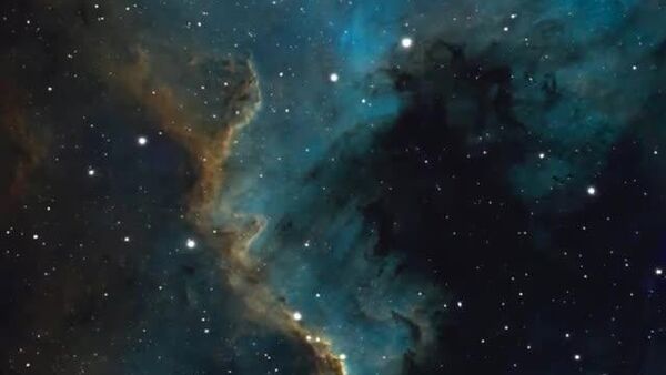 «دیوار مرغ عشق»: بخشی خیره‌کننده از سحابی امریکای شمالی - اسپوتنیک افغانستان  