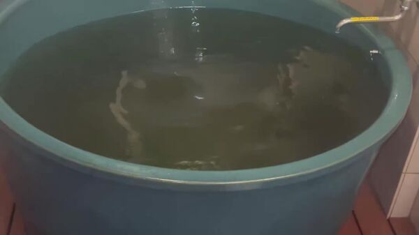 زلزله‌ای 7 - اسپوتنیک افغانستان  