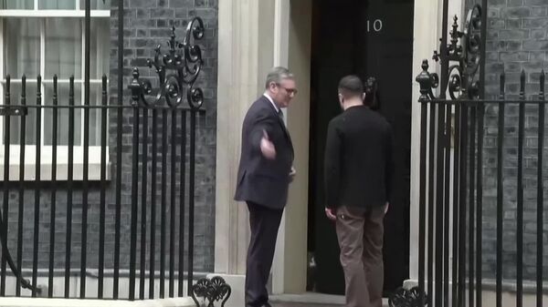 بازدید زلنسکی از دفتر نخست وزیری انگلیس با بی تفاوتی گربه این دفتر همراه شد - اسپوتنیک افغانستان  