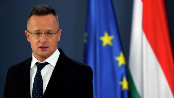 سیارتو: روسیه و مجارستان برای مقاومت در برابر فشار خارجی باید با هم یکجا کار کنند - اسپوتنیک افغانستان  