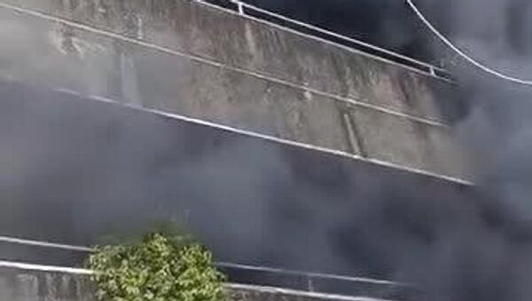 شهامت یک زن فیلیپینی برای نجات سگ‌هایش از دل آتش‌سوزی - اسپوتنیک افغانستان  