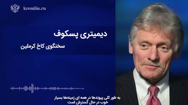 سخنان دیمیتری پسکوف، سخنگوی ریاست جمهوری روسیه، درباره ای دیدار ولادیمیر پوتین و رجب طیب اردوغان - اسپوتنیک افغانستان  
