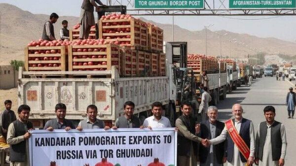 حجم داد و ستد افغانستان با روسیه به 366 میلیون دالر رسید - اسپوتنیک افغانستان  