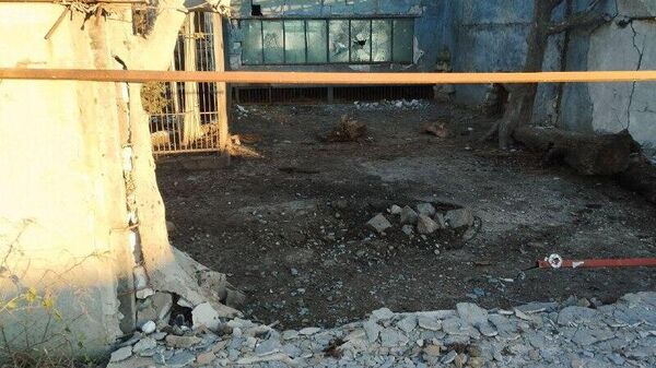 حمله پهپادی ارتش اوکراین به باغ وحشی در منطقه زاپروژیا - اسپوتنیک افغانستان  