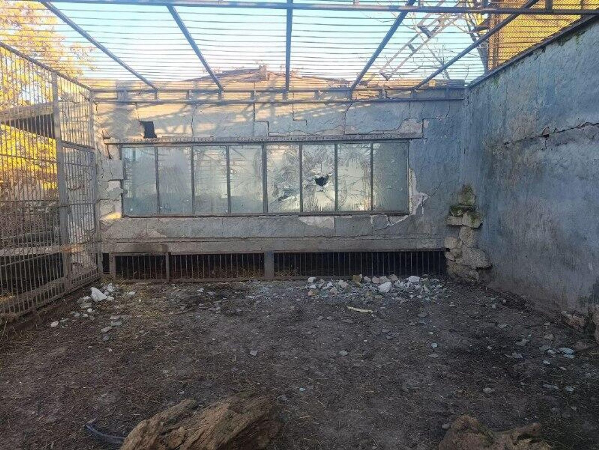 حمله پهپادی ارتش اوکراین به باغ وحشی در منطقه زاپروژیا حمله پهپادی ارتش اوکراین به باغ وحشی در منطقه زاپروژیا - اسپوتنیک افغانستان , 1920, 14.12.2025