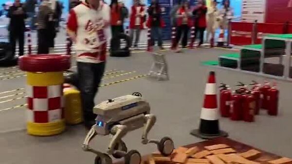 نشست جهانی پیشگامان توسعه دهندگان 2025 و مسابقه بین المللی هوش تجسمی در شانگهای در 13 دسامبر افتتاح شد - اسپوتنیک افغانستان  