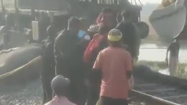 واژگونی پنج واگن قطار راجدانی اکسپرس در هند پس از برخورد با گله فیل‌ها - اسپوتنیک افغانستان  