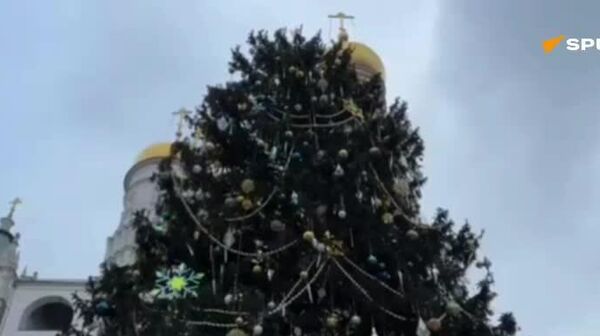 درخت اصلی جشن سال نو در روسیه در محوطه کرملین آراسته شد - اسپوتنیک افغانستان  