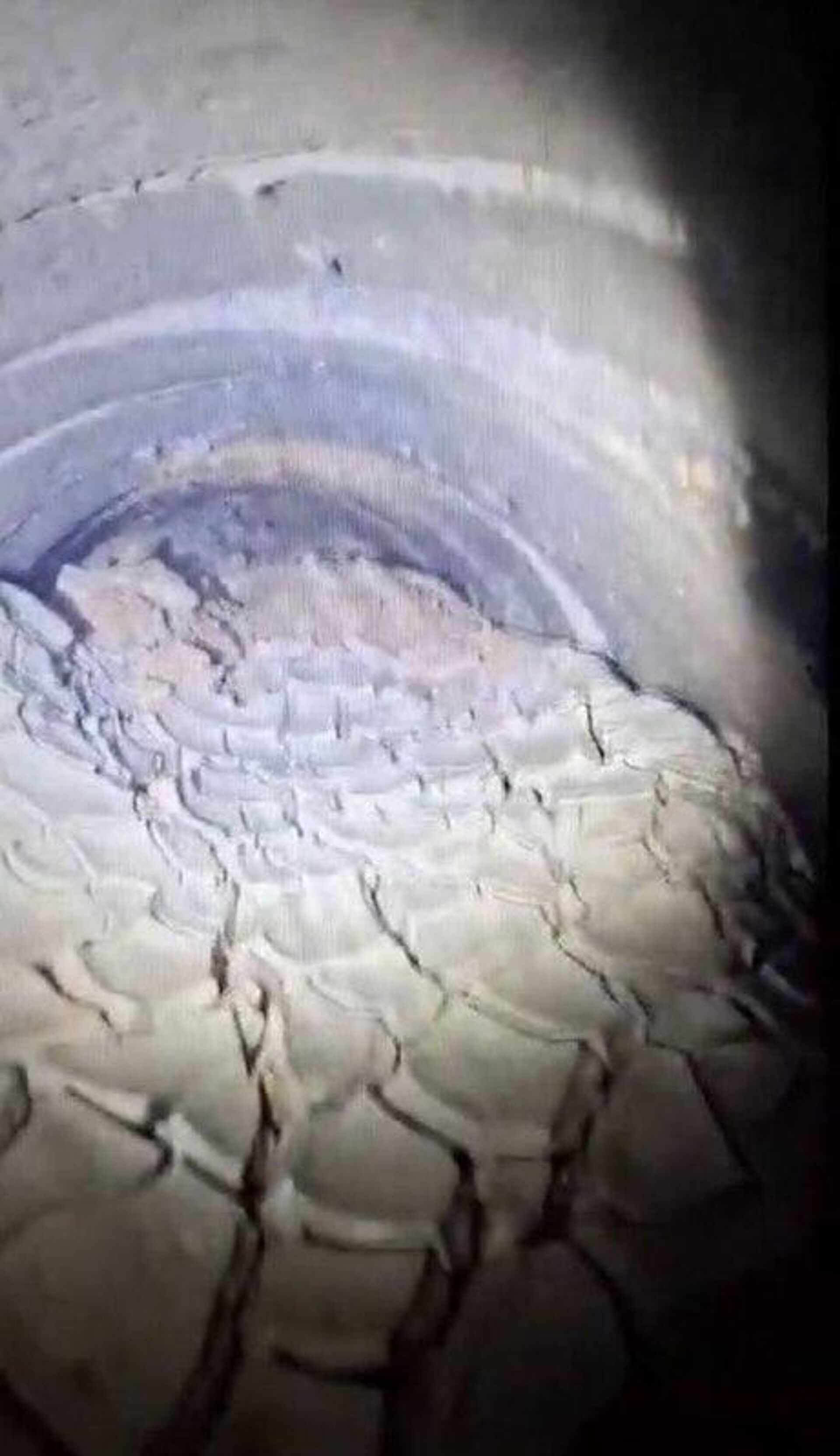 اسرائیل از انهدام تونلها در شمال غزه خبر داد اسرائیل از انهدام تونلها در شمال غزه خبر داد - اسپوتنیک افغانستان , 1920, 26.12.2025