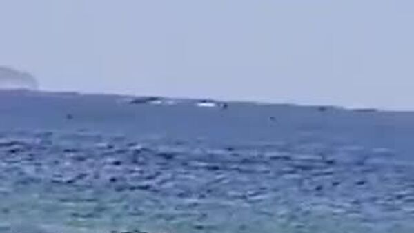 سقوط هواپیمای سسنا در ساحل ریودوژانیرو - اسپوتنیک افغانستان  