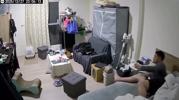 رفتار عجیب یک گربه‌ هنگام وقوع زمین لرزه در تایوان - اسپوتنیک افغانستان  