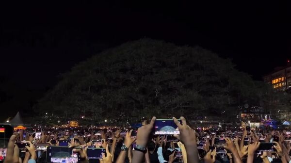 درخت سال نوی می‌خواهید؟ بفرمائید درخت هندی کوچی را تماشا کنید - اسپوتنیک افغانستان  