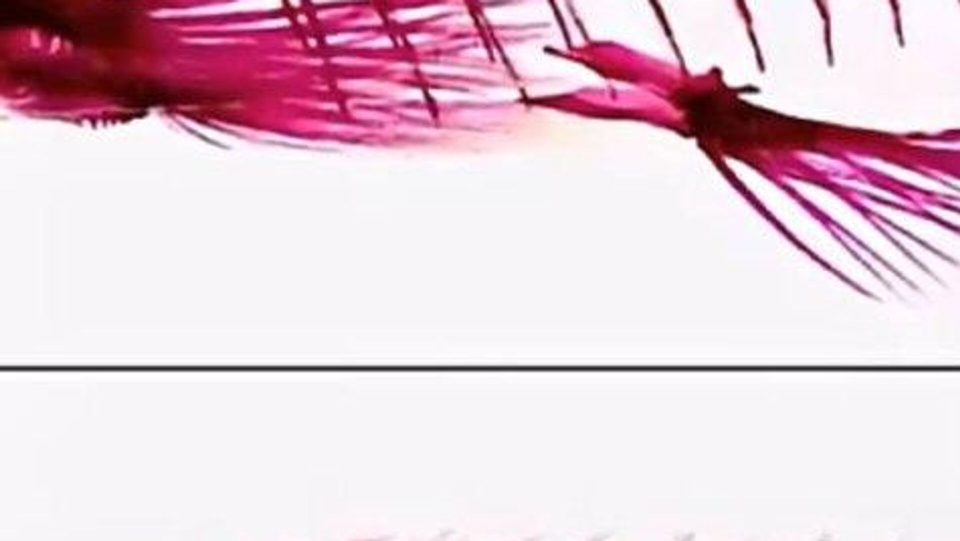 دانشمندان چینی کپور تقریباً بیاستخوان پرورش دادند دانشمندان چینی کپور تقریباً بیاستخوان پرورش دادند - اسپوتنیک افغانستان , 1920, 01.01.2026