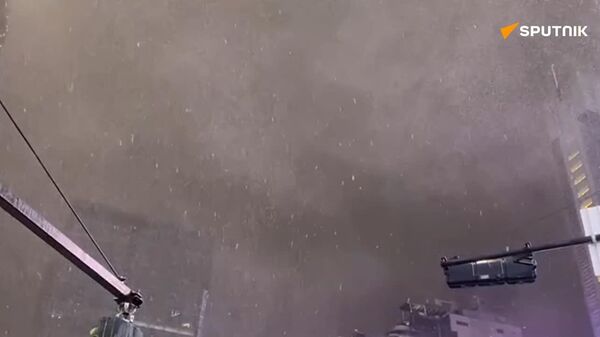 اولین برف زمستانی امسال در توکیو بارید - اسپوتنیک افغانستان  