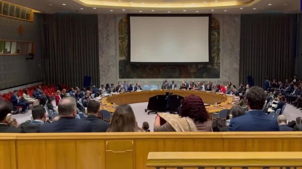 نشست شورای امنیت سازمان ملل متحد درباره ونزوئلا - اسپوتنیک افغانستان  