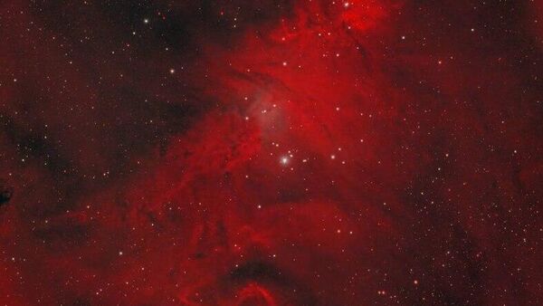 یک «درخت کریسمس» در فضا - اسپوتنیک افغانستان  