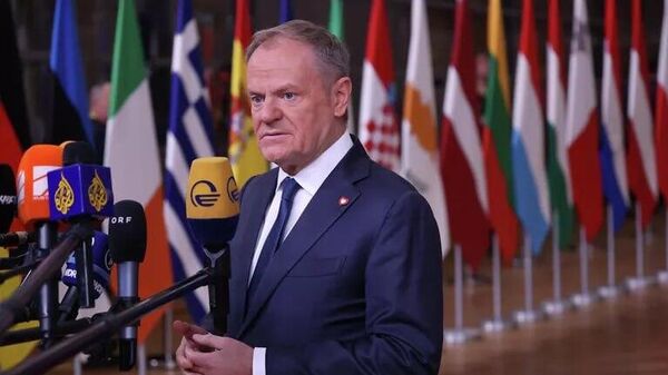 نخست وزیر لهستان: ادعاهای آمریکا بر گرینلند، وجود ناتو را بی‌معنی می‌کند - اسپوتنیک افغانستان  