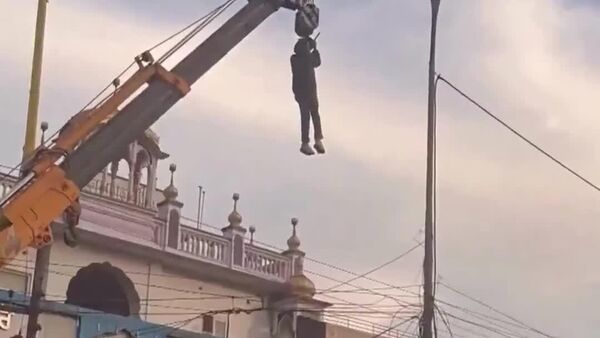 ابتکار خطرناک یک مرد در پنجاب برای نجات یک پرنده کوچک از سیم برق - اسپوتنیک افغانستان  