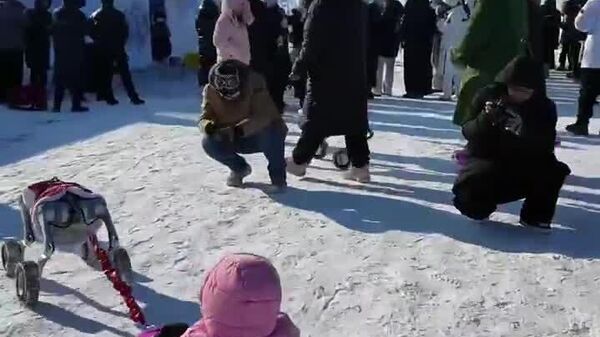یک سگ رباتیک در کارناوال یخ و برف در هاربین، سورتمه‌ای را روی رودخانه یخ‌زده سونگهوا کشید - اسپوتنیک افغانستان  