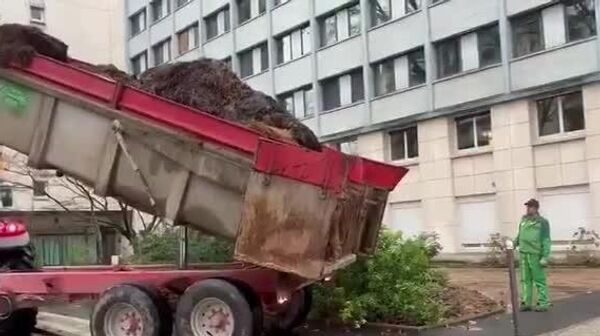 کود حیوانی در خیابان‌ها و تراکتورها در طاق پیروزی: دور جدیدی از اعتراضات کشاورزان در فرانسه - اسپوتنیک افغانستان  