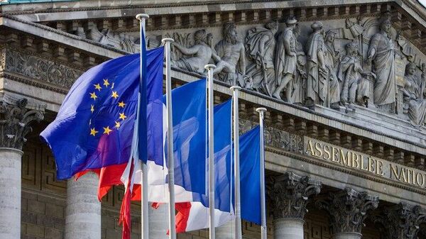 فرانسه قطعنامه خروج این کشور از ناتو را همه پرسی برگزار می‌کند - اسپوتنیک افغانستان  