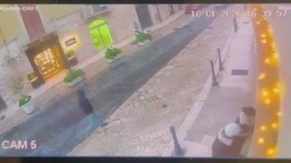 در شهر ترانی، واقع در منطقهٔ آپولیا، به‌گونه‌ای معجزه‌آسا از وقوع یک فاجعه جلوگیری شد؛ یک درخت نخل در کنار یک رهگذر بر روی یک موتر سقوط کرد - اسپوتنیک افغانستان  