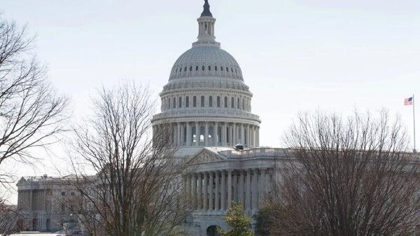 وزارت امور خارجه آمریکا توضیح داد که صدور کدام ویزاها را برای 75 کشور متوقف خواهد کرد - اسپوتنیک افغانستان  