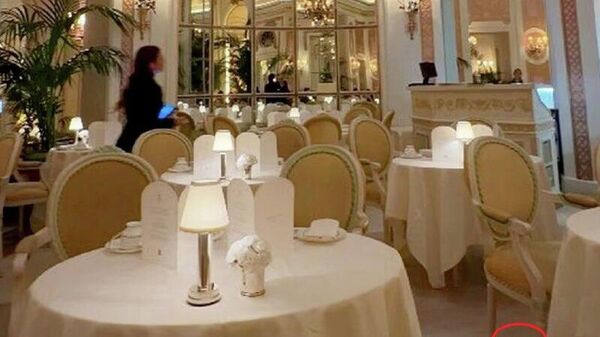 دیده شدن یک موش در رستوران معروف جهانی هتل پنج ستاره ریتز در لندن - اسپوتنیک افغانستان  