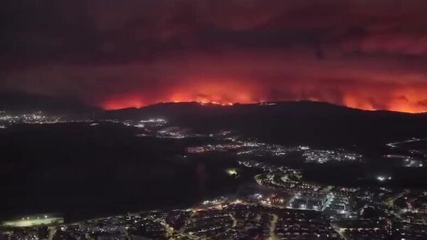ادامه آتش سوزی های جنگلی در جنوب شیلی؛ رئیس جمهور در مناطق آسیب دیده وضعیت اضطراری اعلام کرد - اسپوتنیک افغانستان  