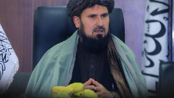 سفر رئیس ستاد ارتش امارت اسلامی به قطر - اسپوتنیک افغانستان  