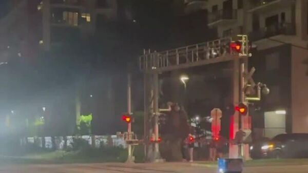 زمستانی که ربات از آن جان سالم به در نبرد - اسپوتنیک افغانستان  