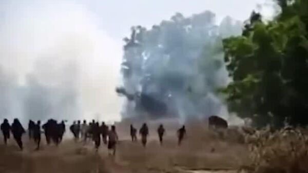 فیل قاتل در هند؛ 22 کشته طی ده روز - اسپوتنیک افغانستان  