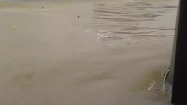 سیل در منطقه بِکاسی اندونزیا؛ سطح آب در مناطق مسکونی به 1 - اسپوتنیک افغانستان  