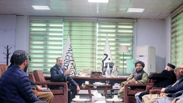 ابراز آمادگی یک شرکت امارات متحده عربی برای سرمایه گذاری در بخش خودکفایی تولید برق در افغانستان - اسپوتنیک افغانستان  