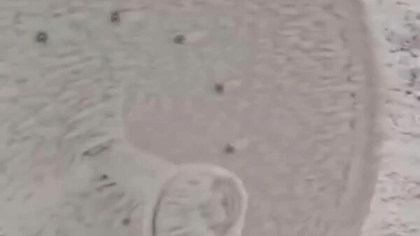 «تکه‌ای از سیبری»: چشم اندازهای یخی کمیاب در روستاهای حلب ثبت شدند - اسپوتنیک افغانستان  