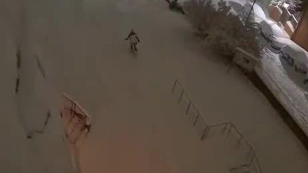 بارش سنگین برف در آلمان سرک‌های نورنبرگ را به پیست‌های اسکی واقعی تبدیل کرده است - اسپوتنیک افغانستان  