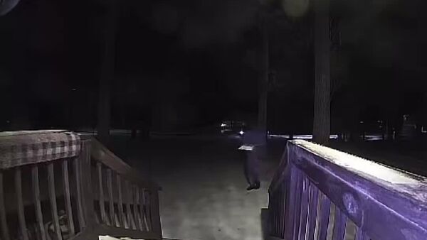 کیک گریزی: ماجرای جابه‌جایی غیرمنتظره در یخ‌زدگی - اسپوتنیک افغانستان  