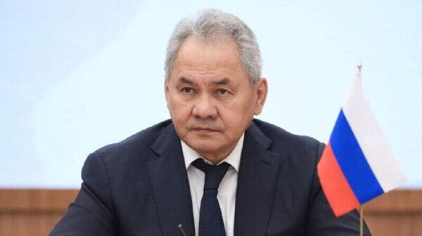 دبیر شورای امنیت روسیه گفت که پوتین و شی جین پینگ در حال انجام گفتگوهای مؤثر هستند - اسپوتنیک افغانستان  