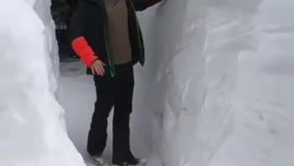 بارش سنگین برف لیمونه‌پییمونته را سفیدپوش کرد - اسپوتنیک افغانستان  