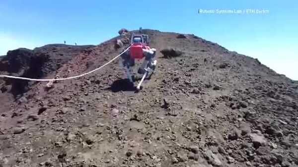 یک سگ رباتیک برای کاوش در کوه اتنا فرستاده شده است - اسپوتنیک افغانستان  